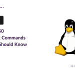 op 50 Linux Commands You Should Know